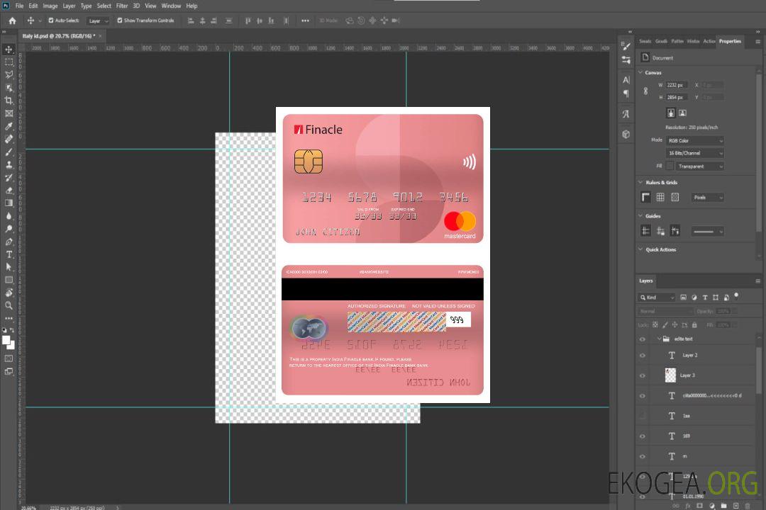 Mastercard de la banque Finacle en Inde template